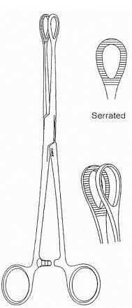 Foerster sponge Holding Forcep